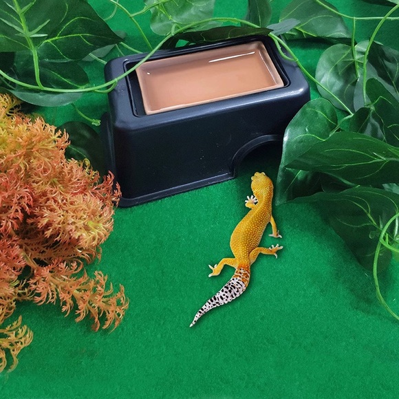 New Reptile Hideout Box with Sink - Humidifier Cave Habitat with Water Supply - Picture 12 of 12